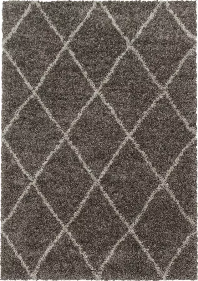 Decor24-AY Extra hoogpolig shaggy vloerkleed Alvor taupe 80x250 cm