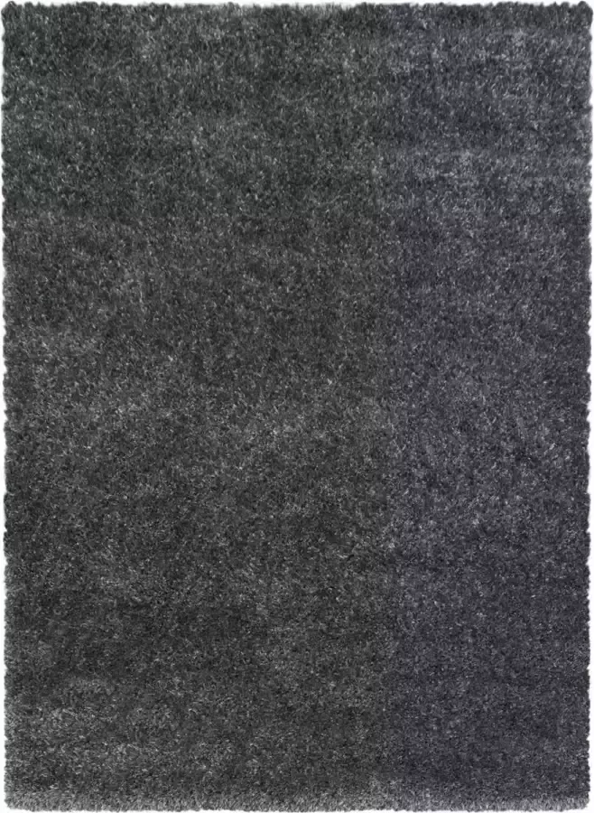 Decor24-AY Extra hoogpolig shaggy vloerkleed Brilliant grey 240x340 cm