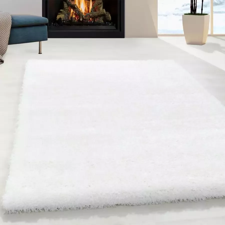 Decor24-AY Extra hoogpolig shaggy vloerkleed Brilliant snow 120x170 cm