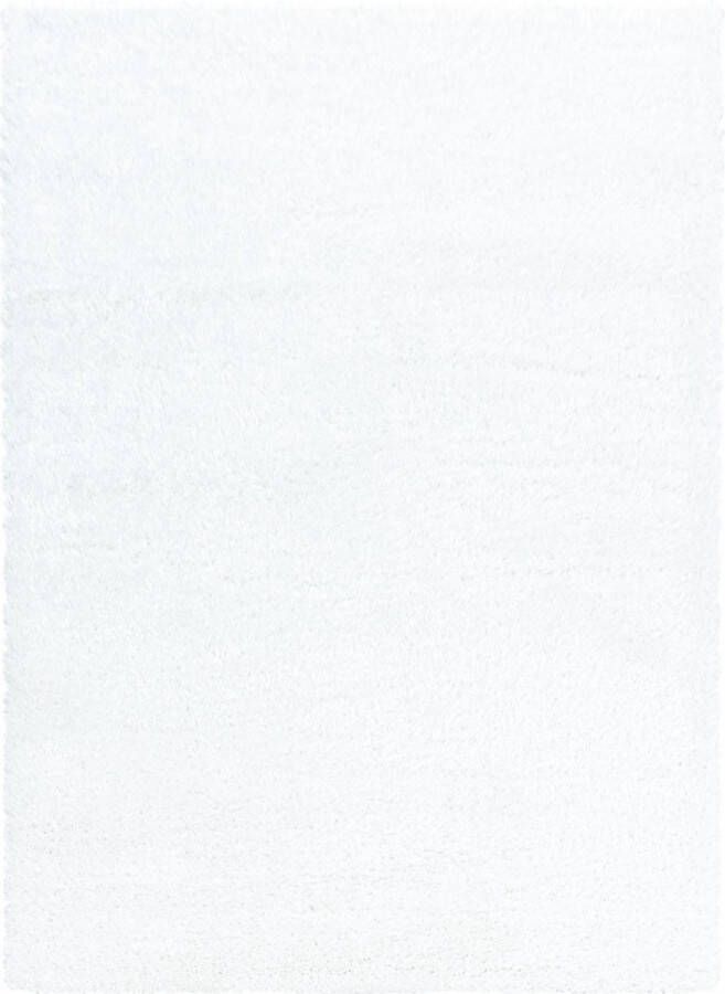 Decor24-AY Extra hoogpolig shaggy vloerkleed Brilliant snow 160x230 cm