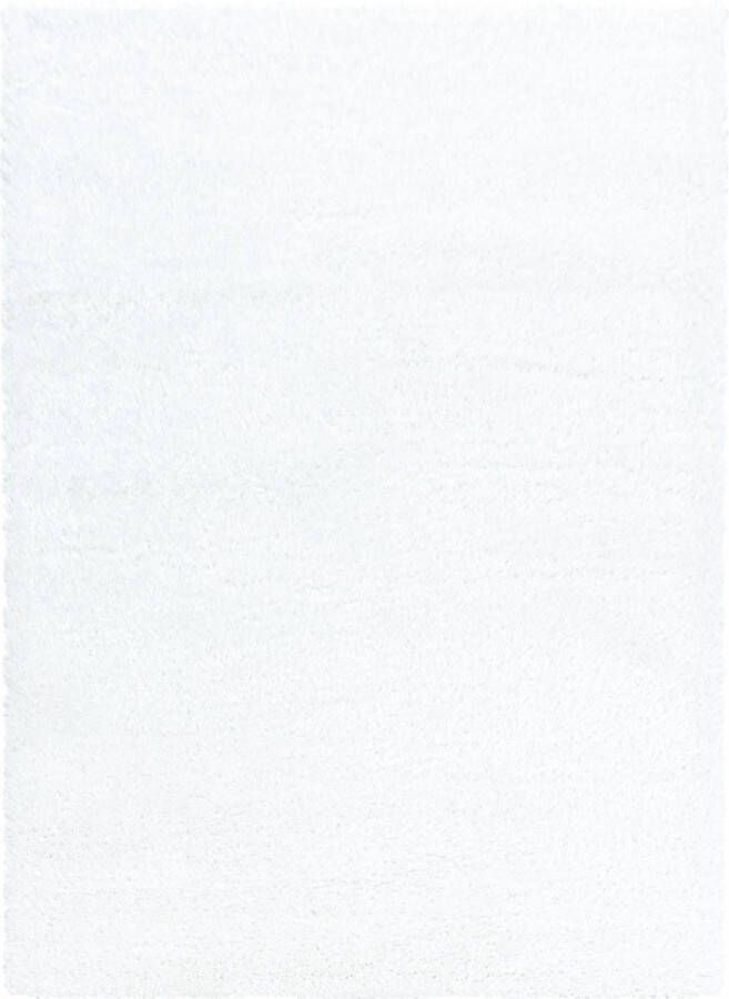 Decor24-AY Extra hoogpolig shaggy vloerkleed Brilliant snow 200x290 cm