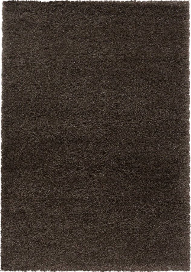 Decor24-AY Extra hoogpolig shaggy vloerkleed Fluffy bruin 240x340 cm