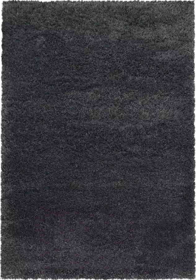 Decor24-AY Extra hoogpolig shaggy vloerkleed Fluffy grijs 80x250 cm