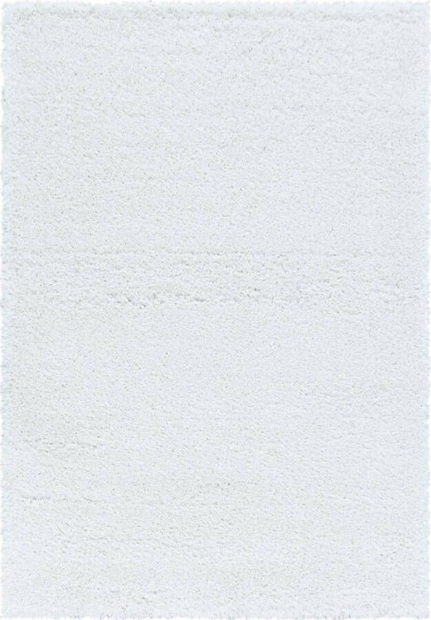 Decor24-AY Extra hoogpolig shaggy vloerkleed Fluffy wit 80x150 cm