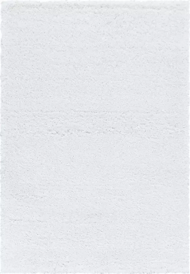 Decor24-AY Extra hoogpolig shaggy vloerkleed Fluffy wit 80x150 cm