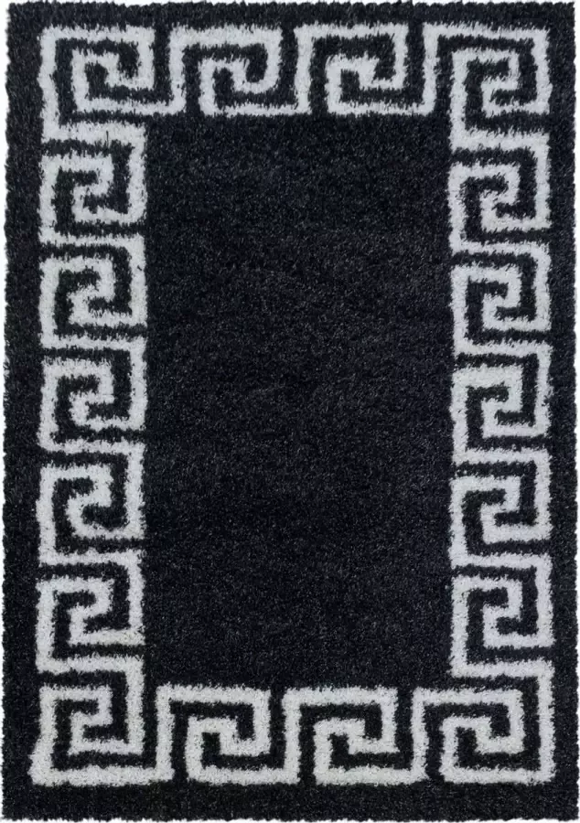 Decor24-AY Extra hoogpolig shaggy vloerkleed Hera antraciet 120x170 cm - Foto 1