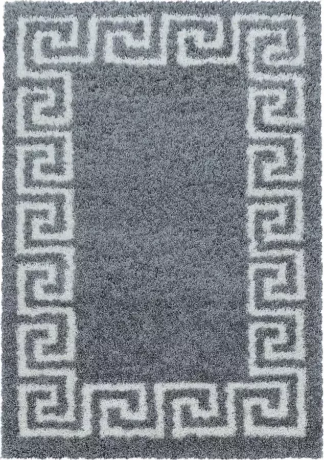 decor24-AY Extra hoogpolig shaggy vloerkleed Hera grijs 240x340 cm
