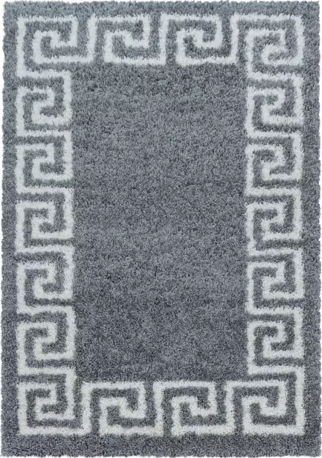 Decor24-AY Extra hoogpolig shaggy vloerkleed Hera grijs 280x370 cm