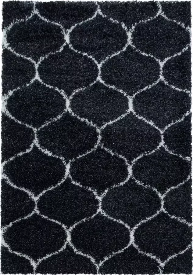 Decor24-AY Extra hoogpolig shaggy vloerkleed Salsa antraciet 120x170 cm