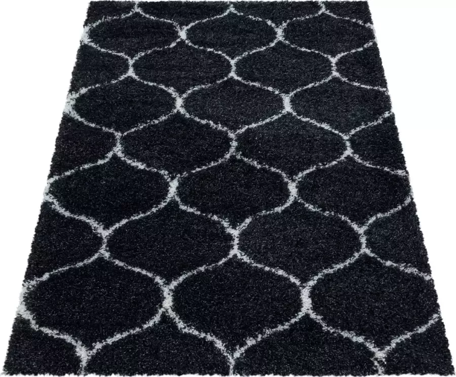 Decor24-AY Extra hoogpolig shaggy vloerkleed Salsa antraciet 200x290 cm