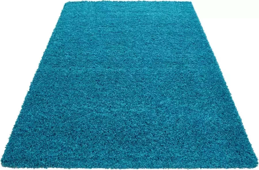 Decor24-AY Hoogpolig vloerkleed Dream turquoise 120x170 cm