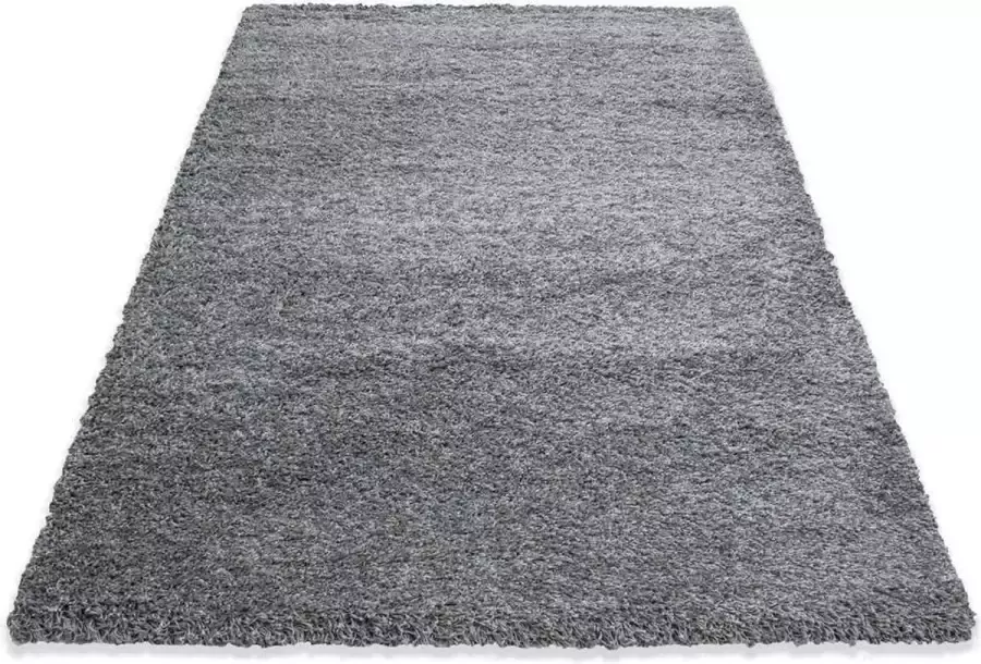 Decor24-AY Hoogpolig vloerkleed Life grijs 120x170 cm - Foto 1
