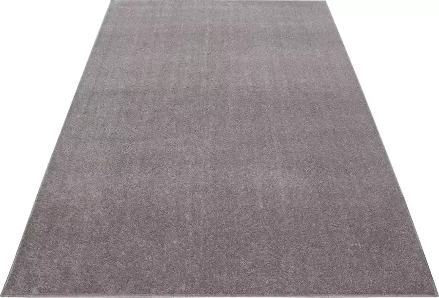 Decor24-AY Laagpolig vloerkleed Ata beige 80x250 cm