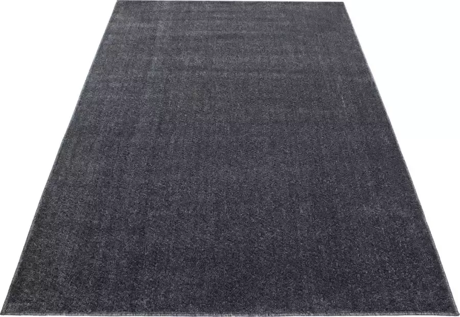 Decor24-AY Laagpolig vloerkleed Ata grijs 80x250 cm