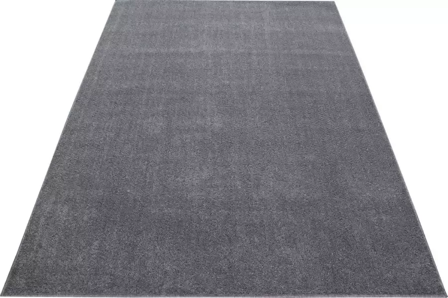 Decor24-AY Laagpolig vloerkleed Ata lichtgrijs 80x250 cm