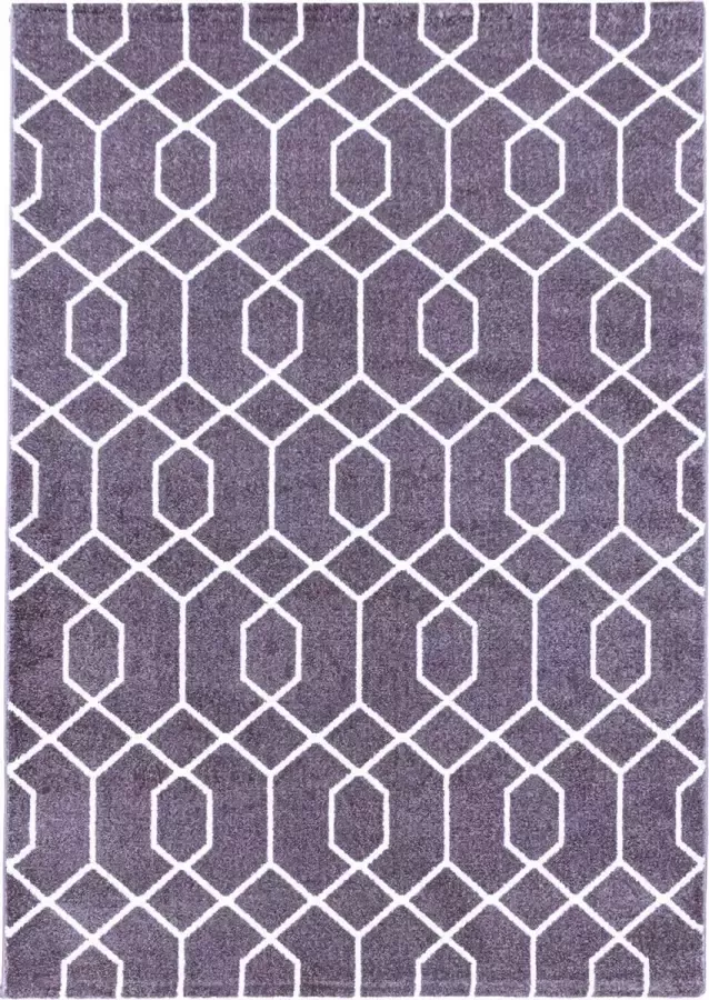 Decor24-AY Modern laagpolig vloerkleed Efor violet 3713 120x170 cm