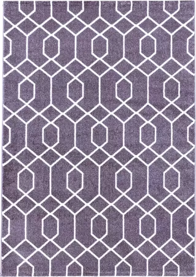 Decor24-AY Modern laagpolig vloerkleed Efor violet 3713 140x200 cm