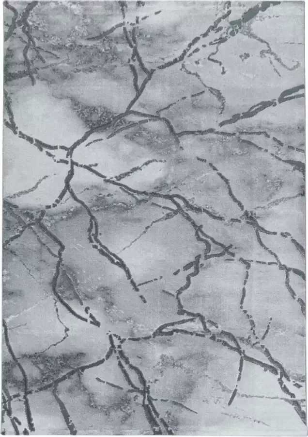 Decor24-AY Modern laagpolig vloerkleed Naxos zilver 3815 80x150 cm