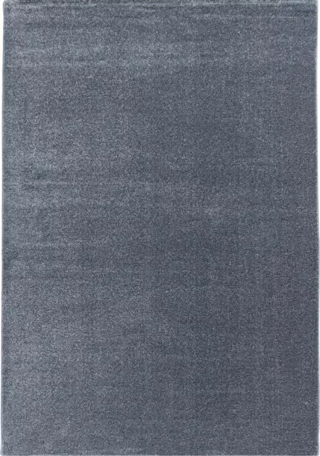 Decor24-AY Modern laagpolig vloerkleed Rio zilver 200x290 cm
