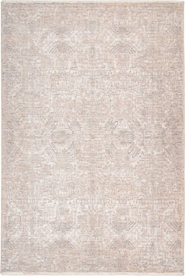 decor24-OB Modern laagpolig vloerkleed Manaos Taupe 823 200x290 cm