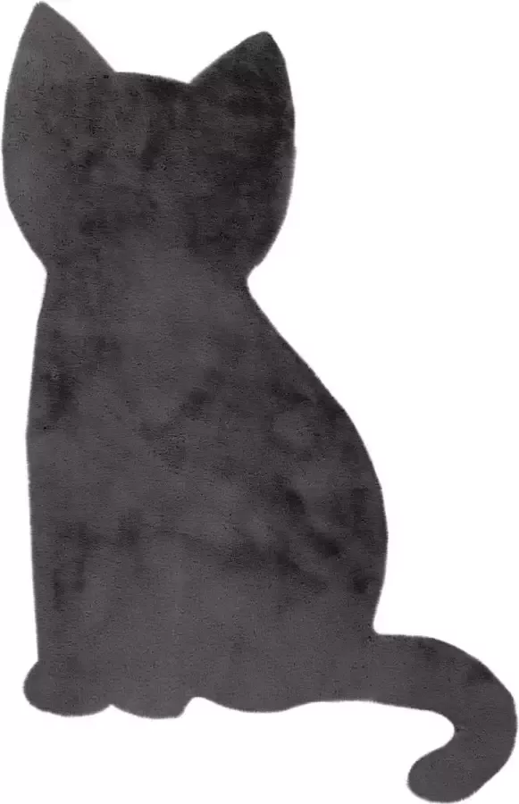Decor24-OB Zacht en wasbaar kinderkamer vloerkleed Luna Kitty 103x73 cm