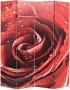Decoways Kamerscherm inklapbaar roos 160x170 cm rood - Thumbnail 2