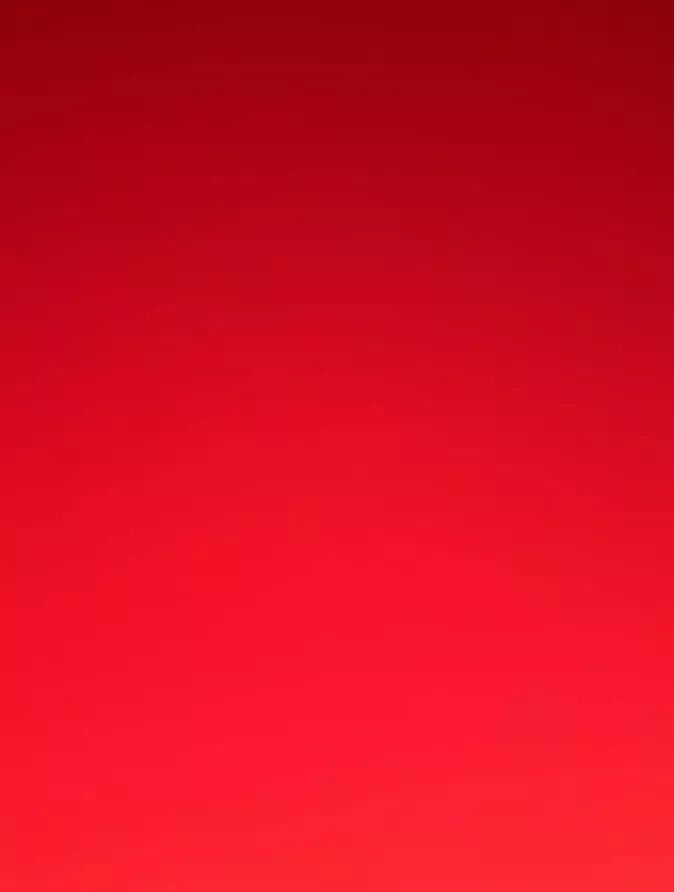 DER Bedding 7-Zones Pocketveringmatras met afdeklaag Koudschuim 160x200 26 cm - Foto 2