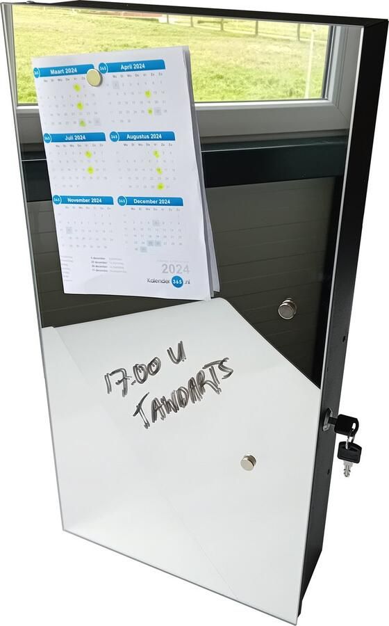 Designglas Badkamerkast Medicijnkast Badkamerkast hoog- Hangend Hangkast Gehard glas 31x61cm Spiegel