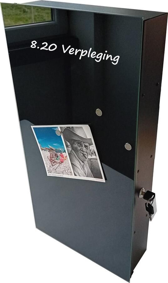 Designglas Badkamerkast Medicijnkast Badkamerkast hoog- Hangend Hangkast Gehard glas 31x61cm Zwart