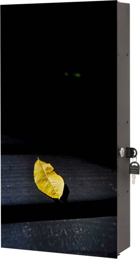 Designglas Badkamerkast Medicijnkast Badkamerkast hoog- Hangend Hangkast Gehard glas 31x61cm Blad in het donker