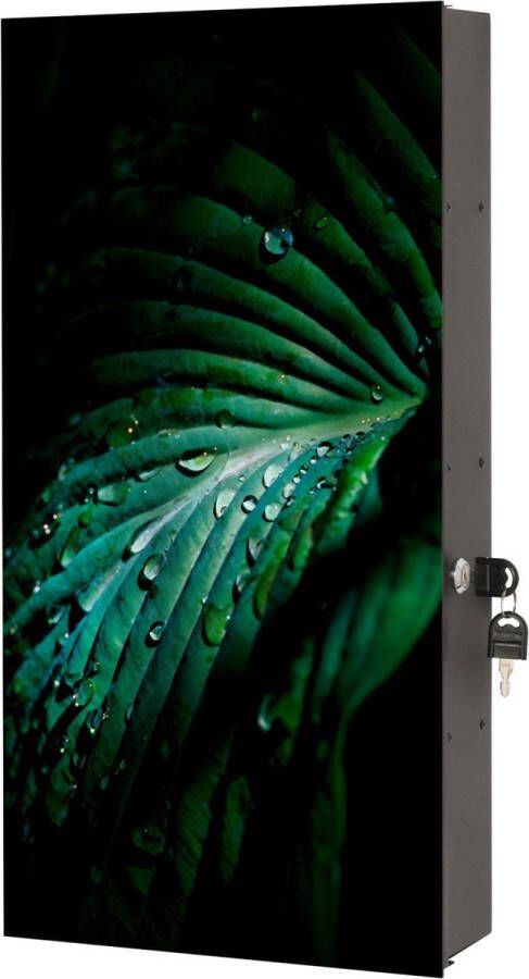 Designglas Badkamerkast Medicijnkast Badkamerkast hoog- Hangend Hangkast Gehard glas 31x61cm Groen blad met druppels