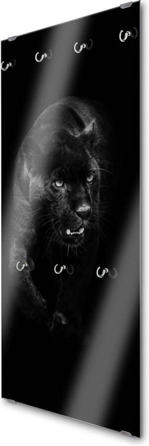 Designglas Wandkapstok – Kapstok – Wandkapstok – Hangend – Garderoberek – Muurkapstok Gehard glas – Handdoekrek – Muurdecoratie Stijlvol Gehard glas 7 Haken Zwarte panther- 50x125cm