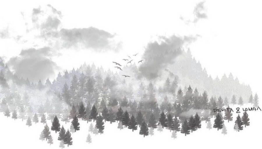 Devota & Lomba Kussenhoes Hisa (Bed van 180) (270 x 260 cm)