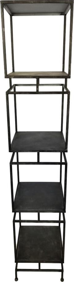 Dijk Natural Collections DKNC Kast Ashton Metaal 31.5x31.5x160cm Zwart