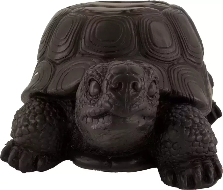Dijk Natural Collections DKNC Tafel schildpad Leicester Polyresin 46x33.5x23.5cm Zwart