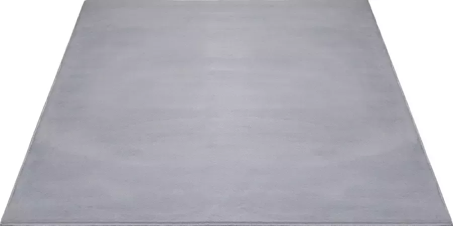 Dinarsu Superzacht Laagpolig Vloerkleed met bontlook Grijs-160 x 220 cm