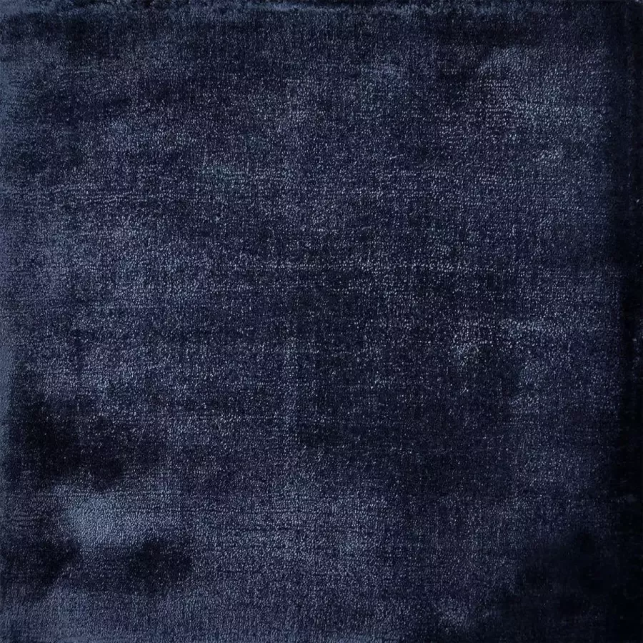 Disena Blauw vloerkleed 190x290 cm Effen Modern
