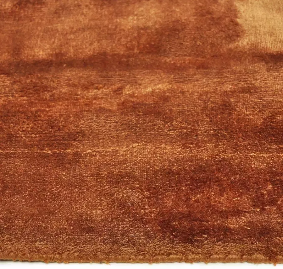 Disena Bruin vloerkleed 190x290 cm Effen Modern