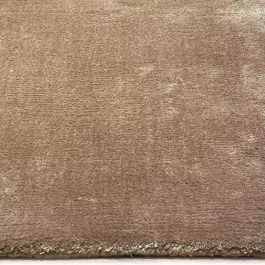 Disena Bruin vloerkleed 250x350 cm Effen Modern