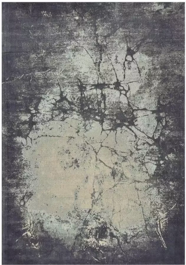 Disena Grijs vloerkleed 190x290 cm A-symmetrisch patroon Modern