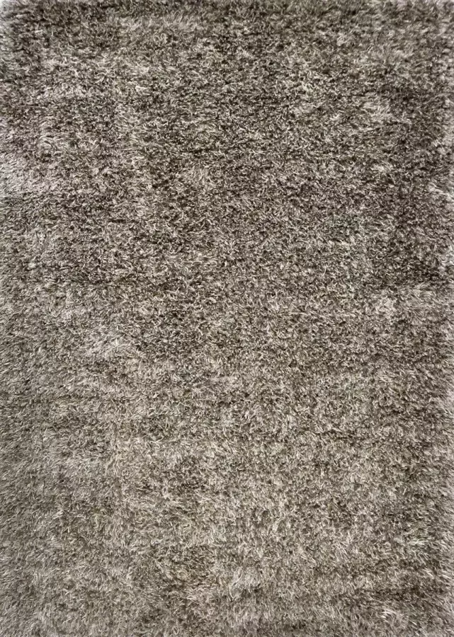 Disena Grijs vloerkleed 195x295 cm A-symmetrisch patroon Industrieel