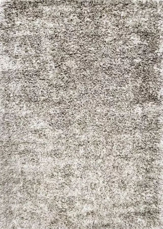 Disena Grijs vloerkleed 195x295 cm A-symmetrisch patroon Industrieel