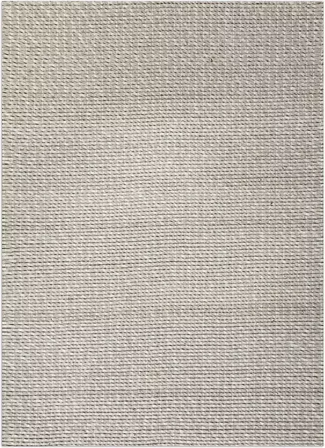 Disena Grijs vloerkleed 195x295 cm Effen Industrieel