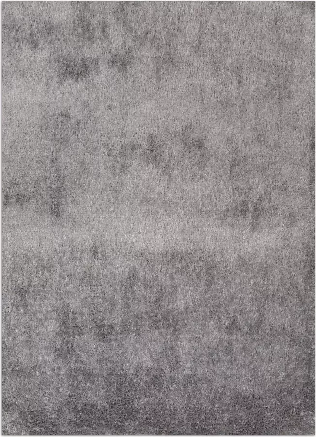 Disena Grijs vloerkleed 195x295 cm Effen Modern