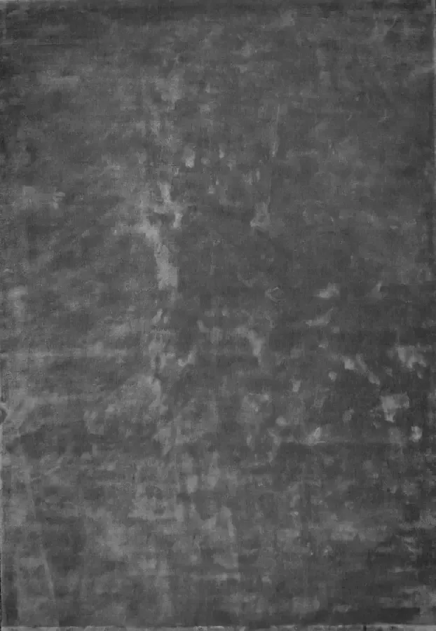 Disena Grijs vloerkleed 250x300 cm Effen Industrieel