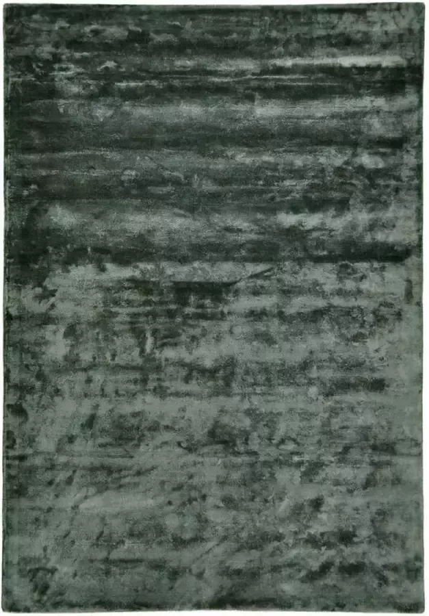 Disena Groen vloerkleed 160x230 cm Effen Landelijk