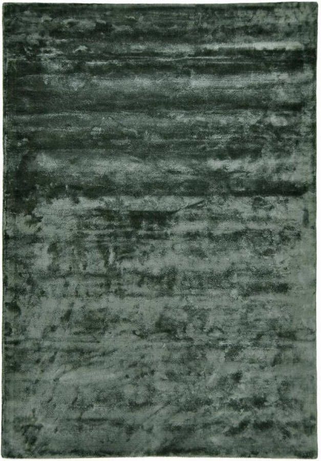 Disena Groen vloerkleed 190x290 cm Effen Landelijk
