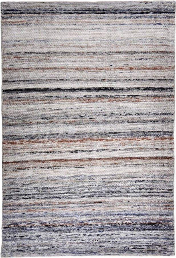 Disena Multicolor vloerkleed 160x230 cm Gestreept Modern