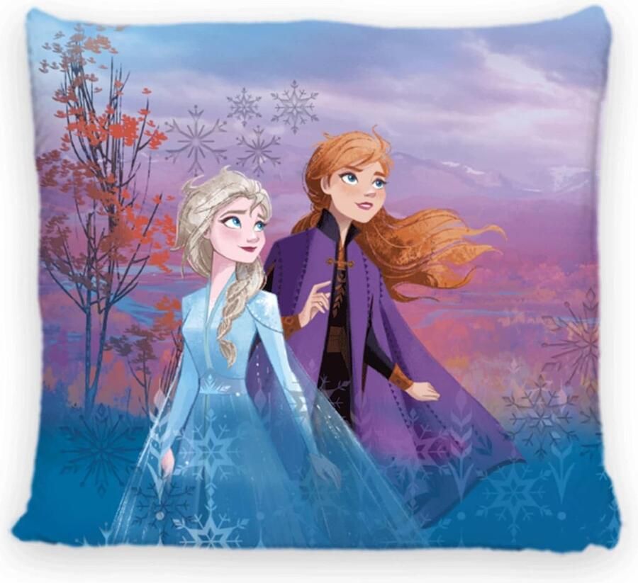 Disney Home Frozen sierkussen met vulling en ritssluiting 40x40 cm sierkussen met vulling geweldig sierkussen voor bank woon- en slaapkamer zacht knuffelkussen