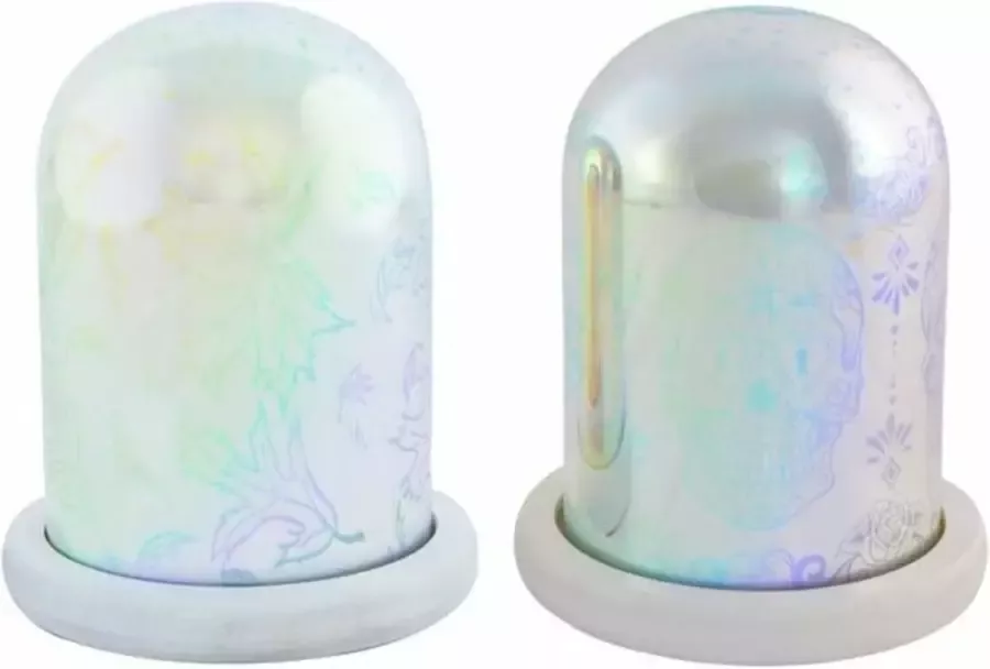 DKD Home Decor Lamp Schedel Natuur LED Licht (2 pcs) (11 x 14 cm)